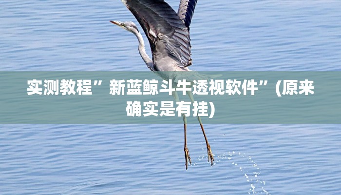 攻略必备“宝宝吃吃吃麻将作弊透视软件方法”(原来确实是有挂)