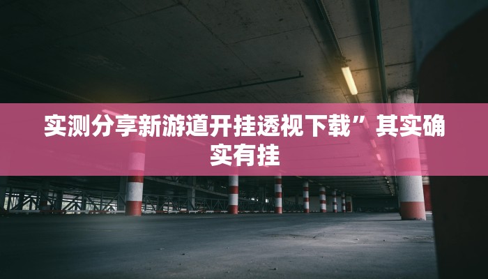 实测分享新游道开挂透视下载”其实确实有挂
