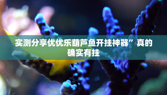 实测分享优优乐葫芦鱼开挂神器”真的确实有挂