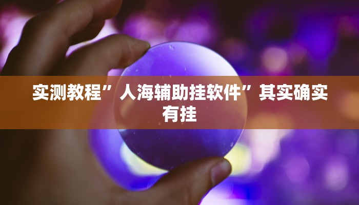 实测教程”人海辅助挂软件”其实确实有挂
