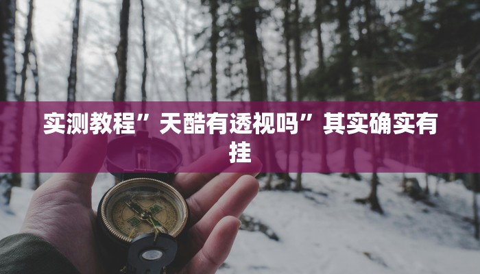 实测教程”天酷有透视吗”其实确实有挂
