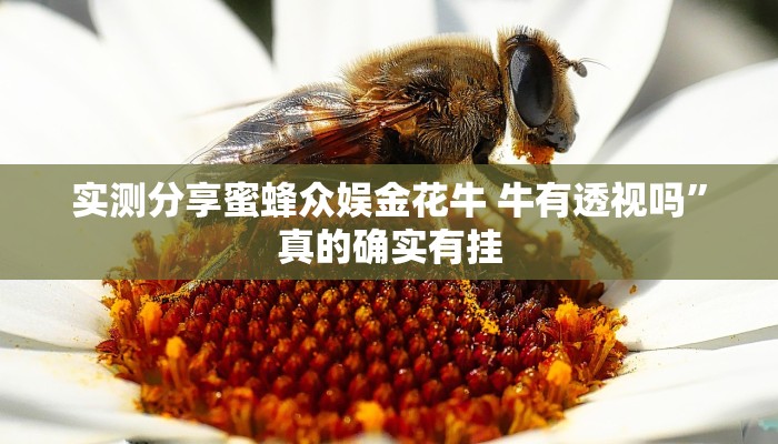 实测分享蜜蜂众娱金花牛 牛有透视吗”真的确实有挂