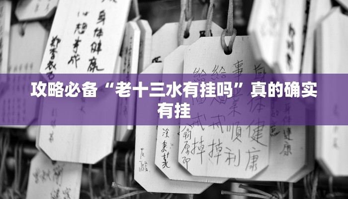 攻略必备“老十三水有挂吗”真的确实有挂