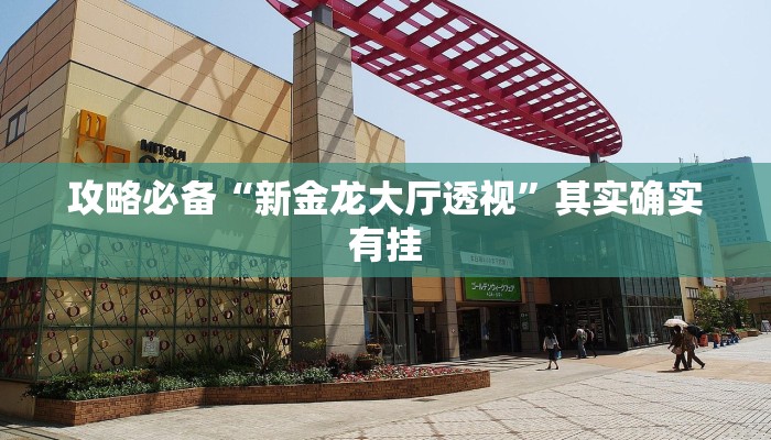 攻略必备“新金龙大厅透视”其实确实有挂

