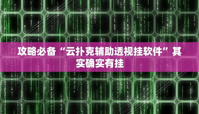 攻略必备“云扑克辅助透视挂软件”其实确实有挂
