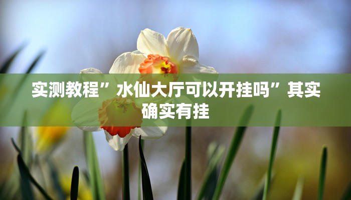 实测教程”水仙大厅可以开挂吗”其实确实有挂
