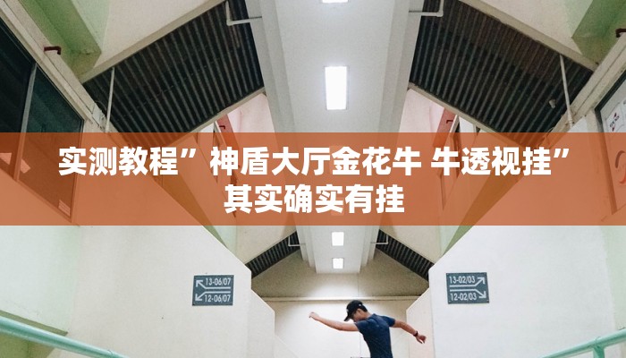 实测教程”神盾大厅金花牛 牛透视挂”其实确实有挂
