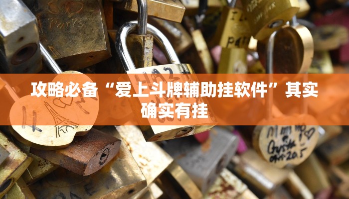 攻略必备“爱上斗牌辅助挂软件”其实确实有挂
