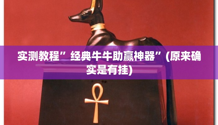 实测教程”经典牛牛助赢神器”(原来确实是有挂)
