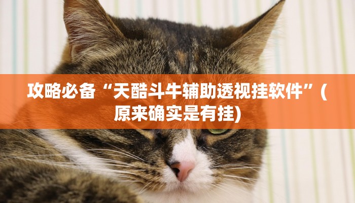 攻略必备“天酷斗牛辅助透视挂软件”(原来确实是有挂)