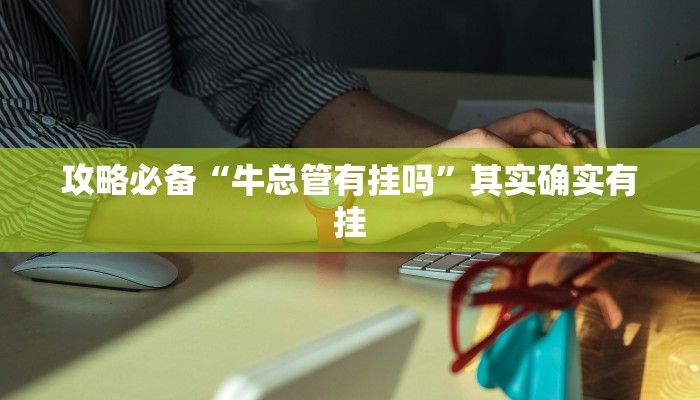 攻略必备“牛总管有挂吗”其实确实有挂
