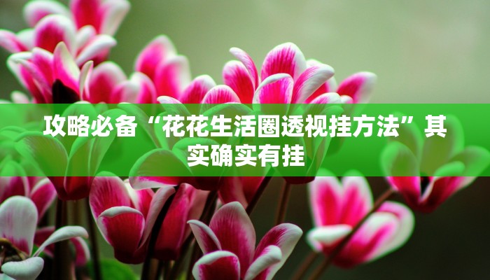 实测教程”芙蓉大厅拼三张可以开挂吗”其实确实有挂
