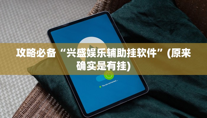 攻略必备“兴盛娱乐辅助挂软件”(原来确实是有挂)