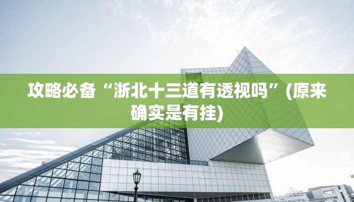 攻略必备“浙北十三道有透视吗”(原来确实是有挂)