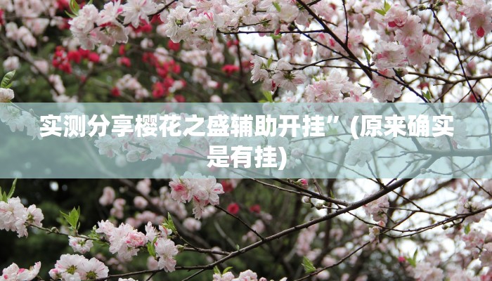 实测分享樱花之盛辅助开挂”(原来确实是有挂)