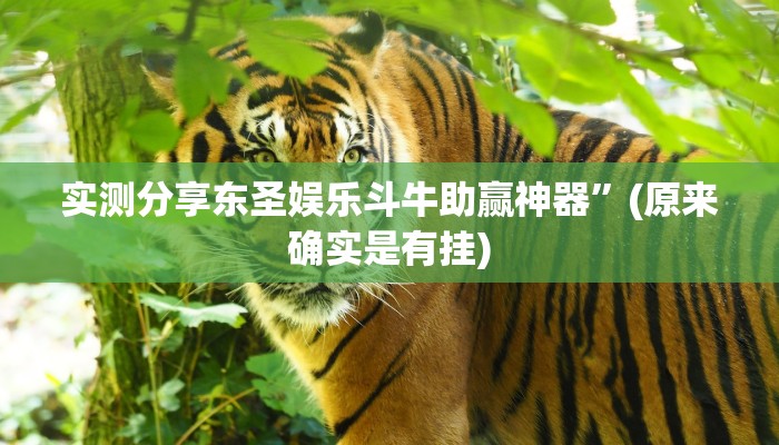 实测分享东圣娱乐斗牛助赢神器”(原来确实是有挂)