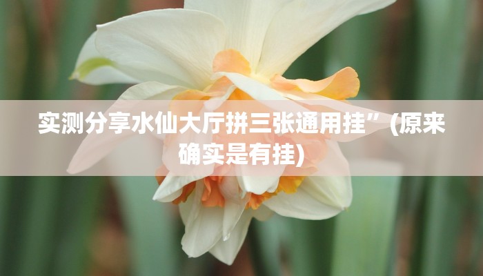 实测教程”亿游十三道透视挂方法”(原来确实是有挂)