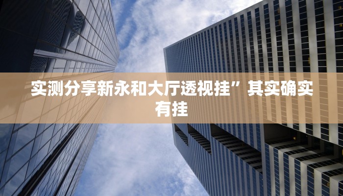 实测分享新永和大厅透视挂”其实确实有挂
