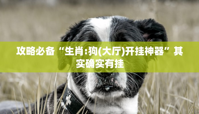 攻略必备“生肖:狗(大厅)开挂神器”其实确实有挂
