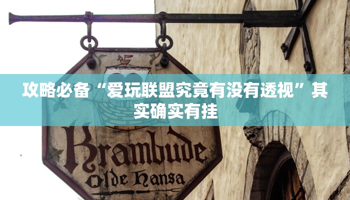 攻略必备“爱玩联盟究竟有没有透视”其实确实有挂
