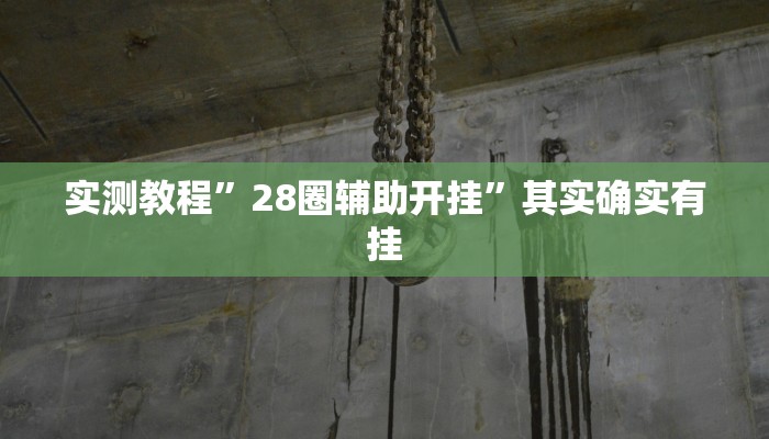 实测教程”28圈辅助开挂”其实确实有挂
