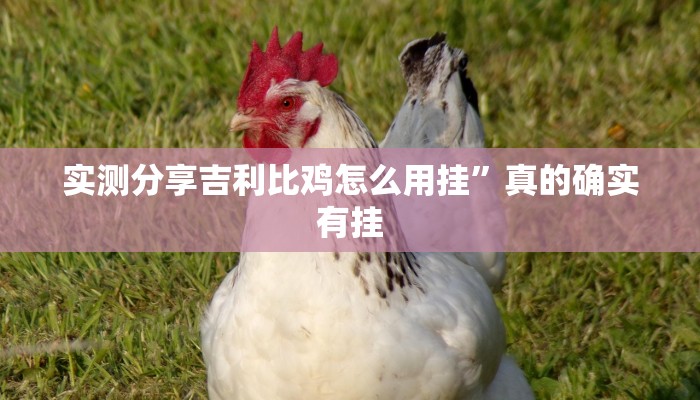 实测分享吉利比鸡怎么用挂”真的确实有挂