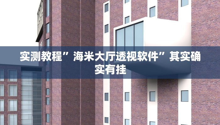 实测教程”海米大厅透视软件”其实确实有挂

