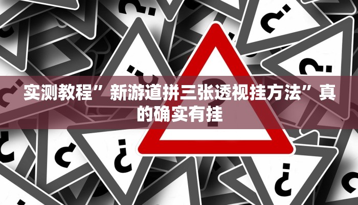 实测教程”新游道拼三张透视挂方法”真的确实有挂