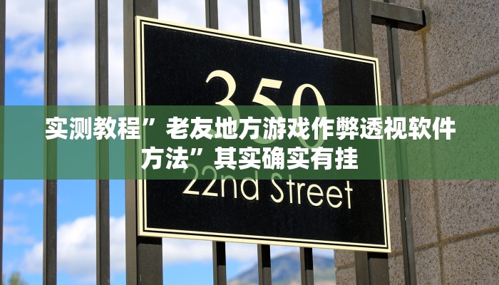 实测教程”老友地方游戏作弊透视软件方法”其实确实有挂

