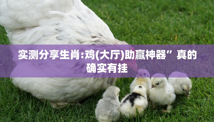 实测分享生肖:鸡(大厅)助赢神器”真的确实有挂