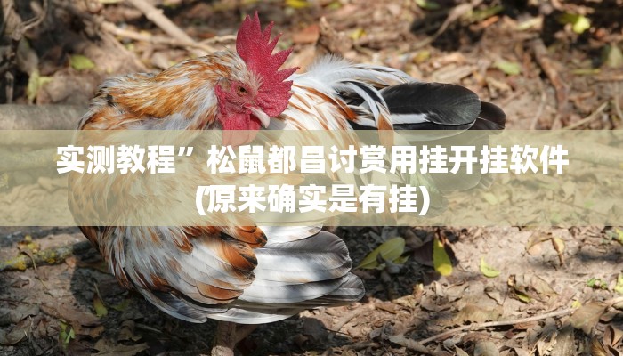 实测教程”松鼠都昌讨赏用挂开挂软件”
(原来确实是有挂)