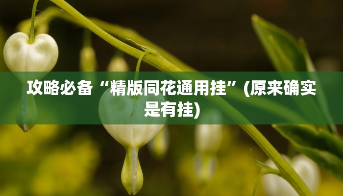 攻略必备“精版同花通用挂”(原来确实是有挂)
