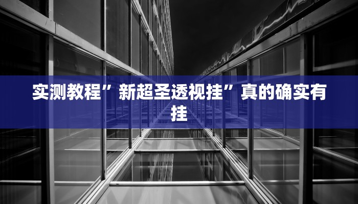 实测教程”新超圣透视挂”真的确实有挂