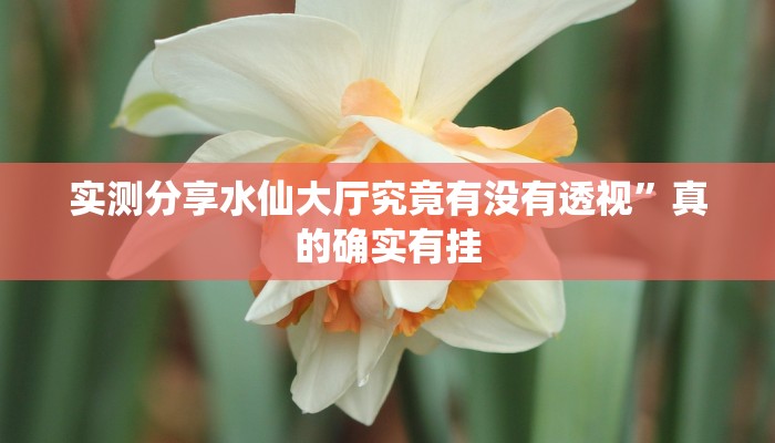 实测分享水仙大厅究竟有没有透视”真的确实有挂