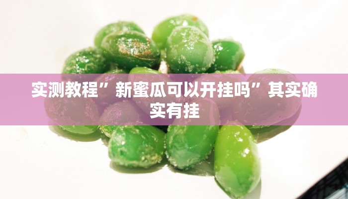 实测教程”新蜜瓜可以开挂吗”其实确实有挂
