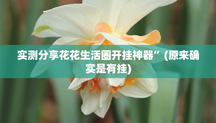 实测分享花花生活圈开挂神器”(原来确实是有挂)
