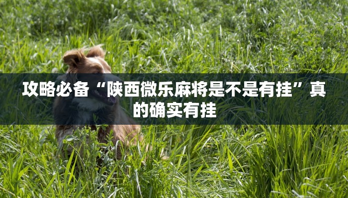 攻略必备“陕西微乐麻将是不是有挂”真的确实有挂