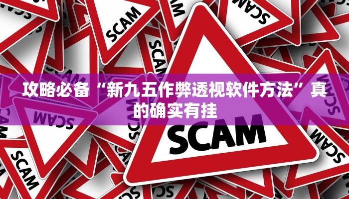 攻略必备“新九五作弊透视软件方法”真的确实有挂
