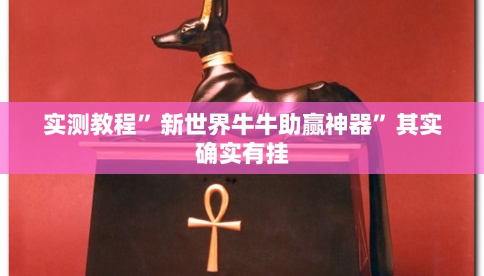 实测教程”新世界牛牛助赢神器”其实确实有挂
