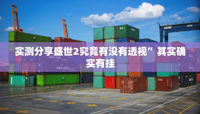 实测分享盛世2究竟有没有透视”其实确实有挂
