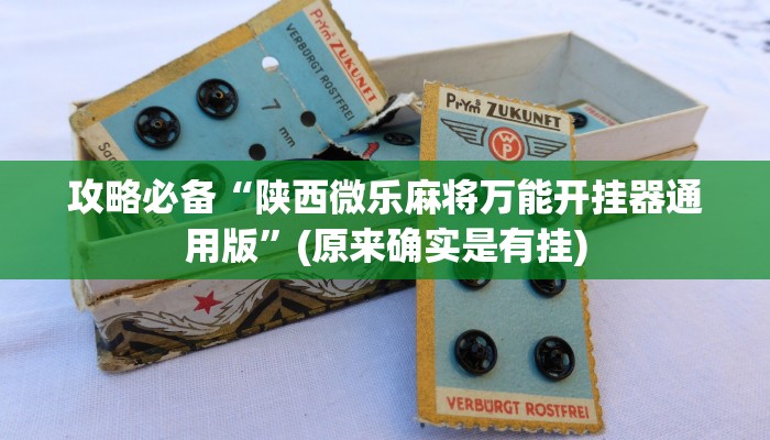 攻略必备“陕西微乐麻将万能开挂器通用版”(原来确实是有挂)
