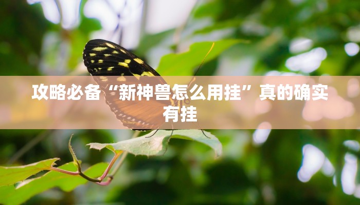 攻略必备“新神兽怎么用挂”真的确实有挂