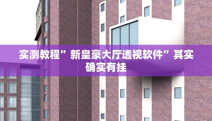 攻略必备“永发联盟辅助开挂”其实确实有挂
