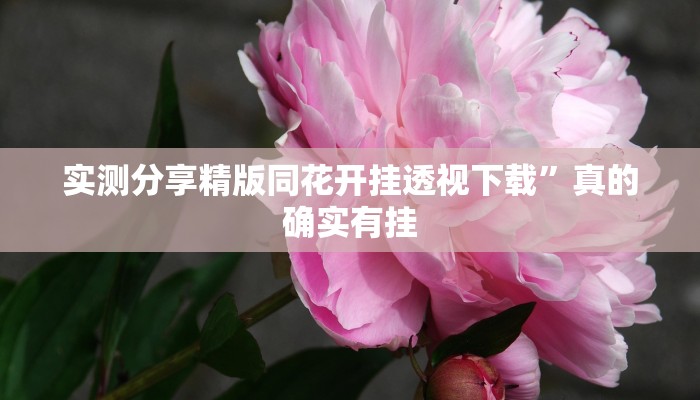 实测分享精版同花开挂透视下载”真的确实有挂