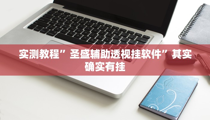 实测教程”圣盛辅助透视挂软件”其实确实有挂
