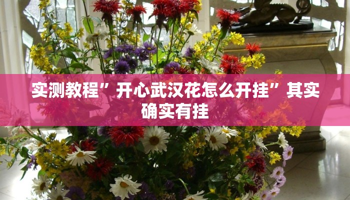 实测教程”开心武汉花怎么开挂”其实确实有挂
