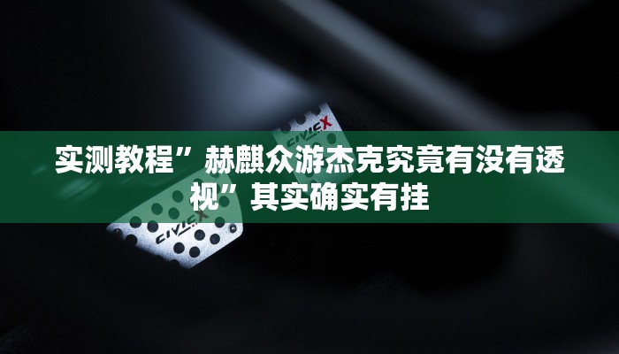 实测教程”赫麒众游杰克究竟有没有透视”其实确实有挂
