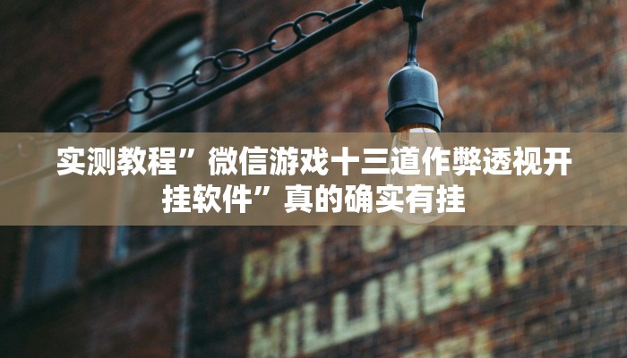 实测教程”微信游戏十三道作弊透视开挂软件”真的确实有挂