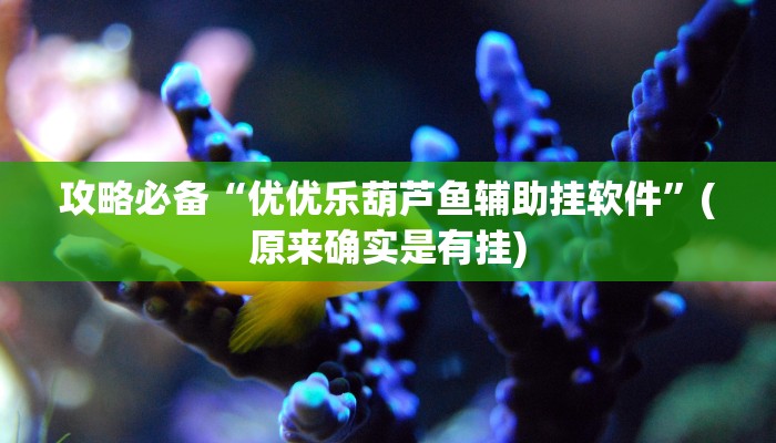 攻略必备“优优乐葫芦鱼辅助挂软件”(原来确实是有挂)