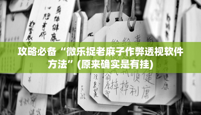 攻略必备“微乐捉老麻子作弊透视软件方法”(原来确实是有挂)
